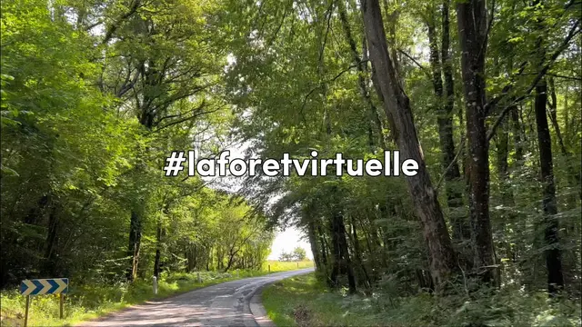 Digital Mural : Créez une forêt digitale collective en dessinant un arbre,